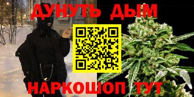 мдпв Будённовск